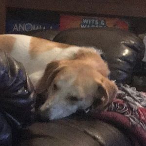 Meet your Posher, Olivia